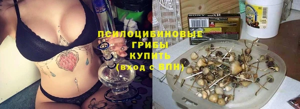 дурь Сосновоборск