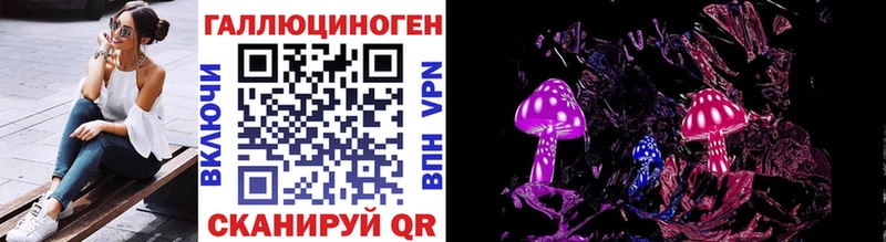 купить наркоту  Теберда  Галлюциногенные грибы Psilocybe 