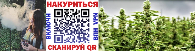 Шишки марихуана Amnesia  Теберда 